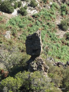 Contrada Caloro